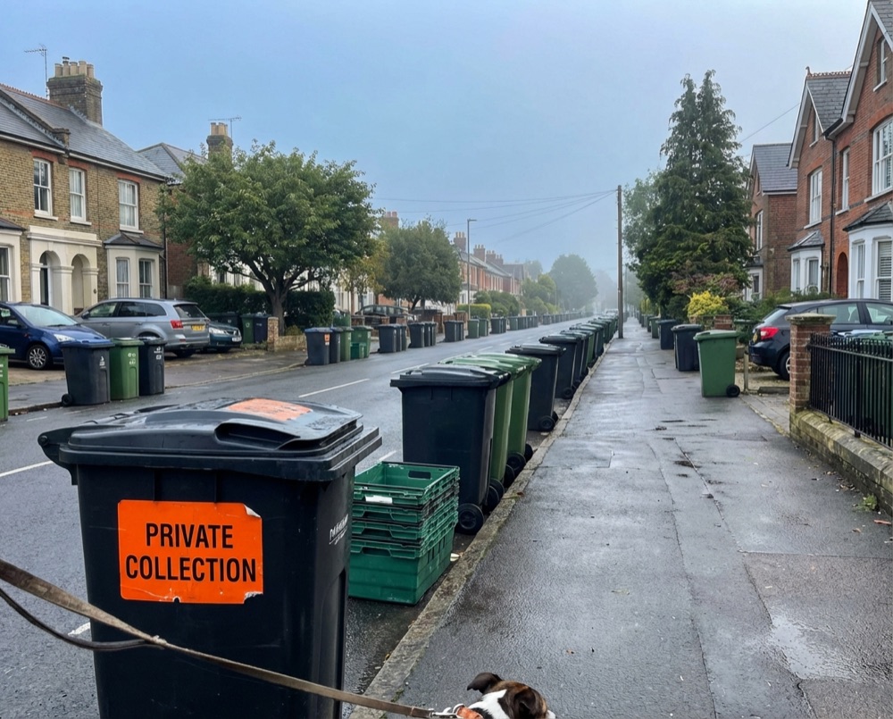 Residential street with bins in Littlehampton awaiting collection